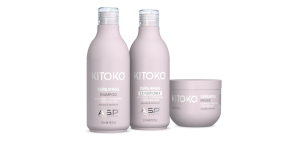 KITOKO_REGIME_Repairing